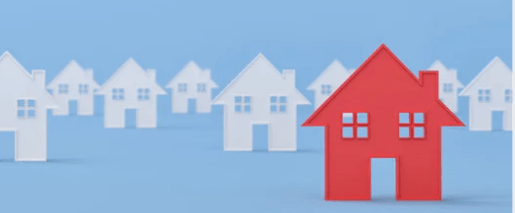 a diamond in the&nbsp;rough