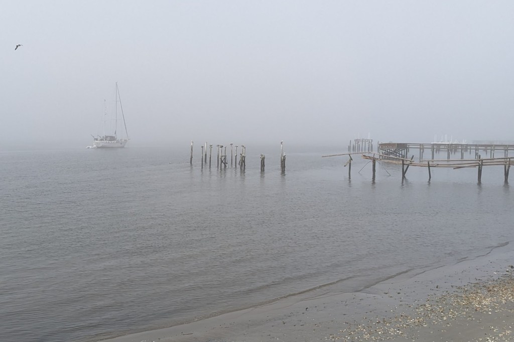 The Tides of our&nbsp;Lives